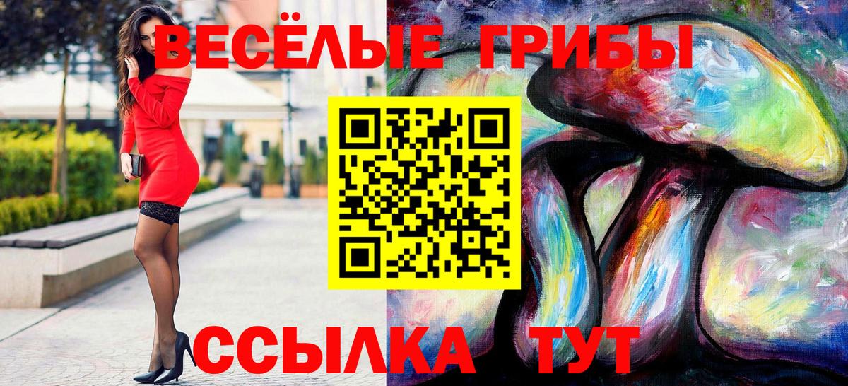 Дубна  Галлюциногенные грибы Cubensis  Псилоцибиновые грибы Magic Shrooms  купить наркоту  Вход с VPN 