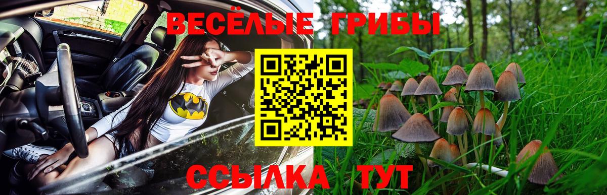 Псилоцибиновые грибы GOLDEN TEACHER Дубна